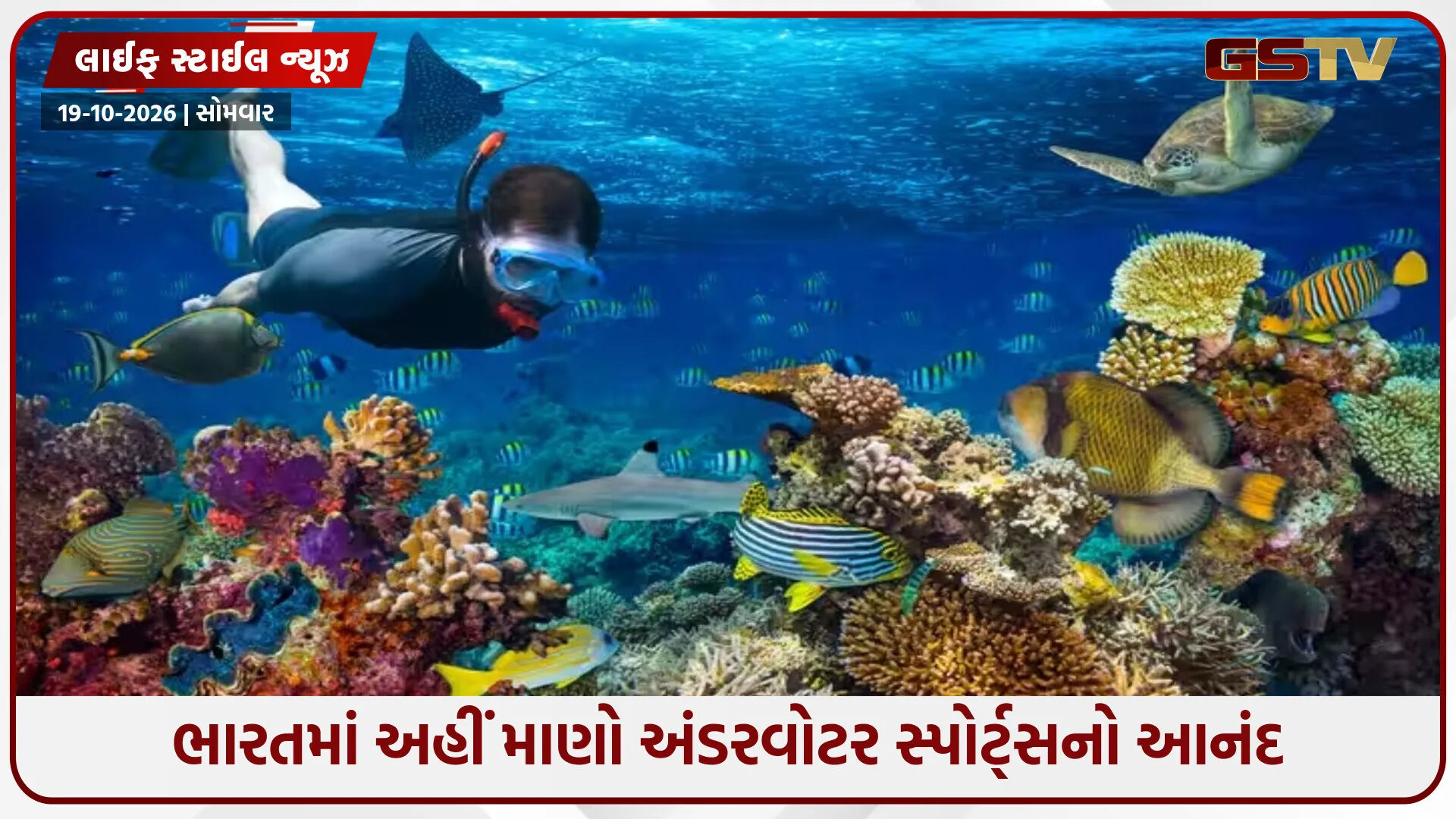 સમુદ્ર નીચે એક અલગ દુનિયા... ભારતમાં સ્કુબા ડાઇવિંગ માટે બેસ્ટ છે 6 સ્થળો