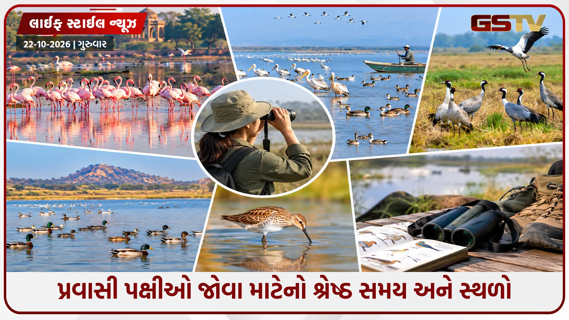 શિયાળા દરમિયાન દૂરના દેશોમાંથી આવે છે પક્ષીઓ, બર્ડવોચિંગ માટે બેસ્ટ છે ભારતના આ 5 સ્થળો