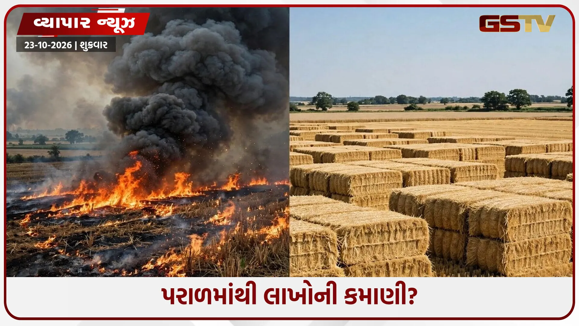 જેના ધુમાડાથી દિલ્હી ગૂંગળાય છે, એ જ પરાળ હવે કમાણી કરાવશે! ખેડૂતો માટે વરદાન બની શકે છે પાકનો કચરો?