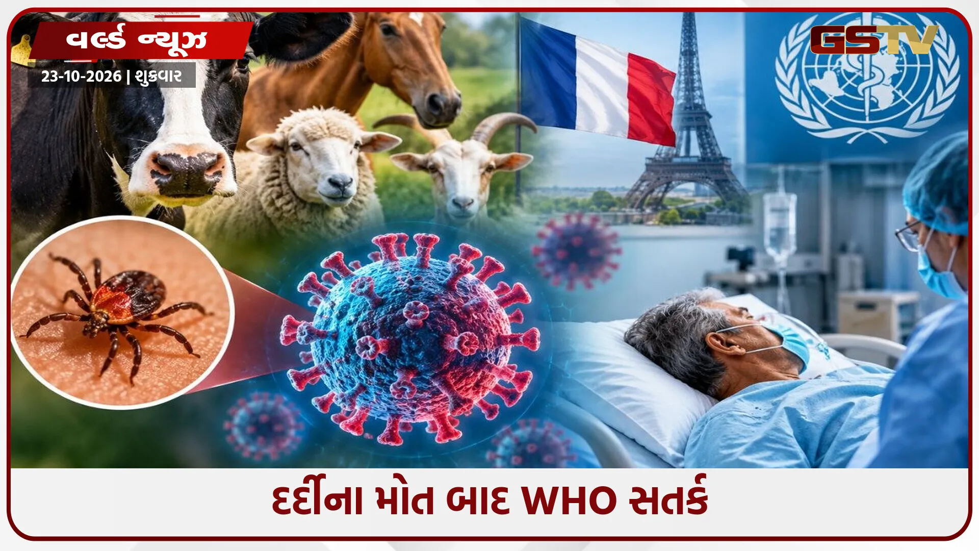 પશુઓમાં જોવા મળતા શામોન્ડા વાઇરસનો મનુષ્યમાં પ્રથમ શંકાસ્પદ કેસ, દર્દીના મોતથી આરોગ્ય જગતમાં ચિંતા