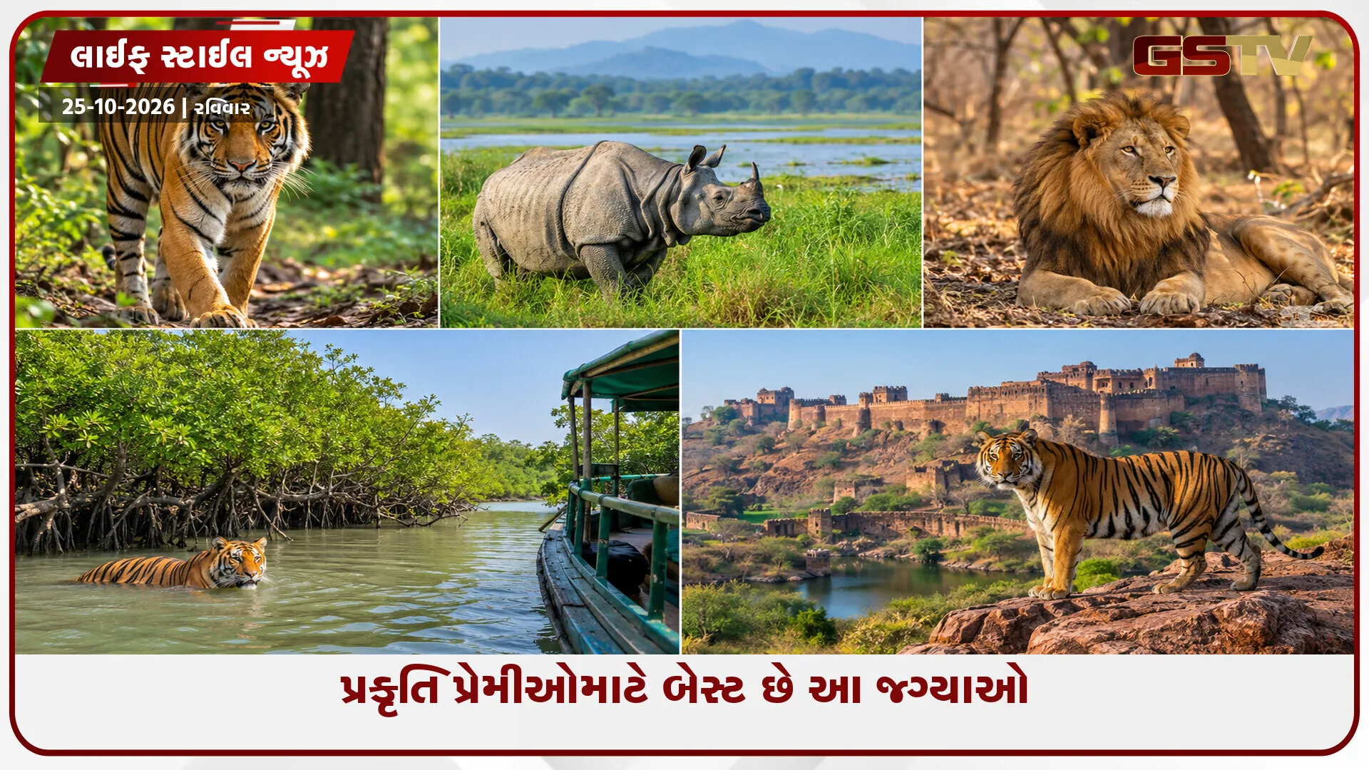 બંગાળ વાઘથી લઈને એક શિંગડાવાળા ગેંડા સુધી, પ્રકૃતિ પ્રેમીઓએ જરૂર લેવી જોઈએ ભારતના આ રાષ્ટ્રીય ઉદ્યાનોની મુલાકાત