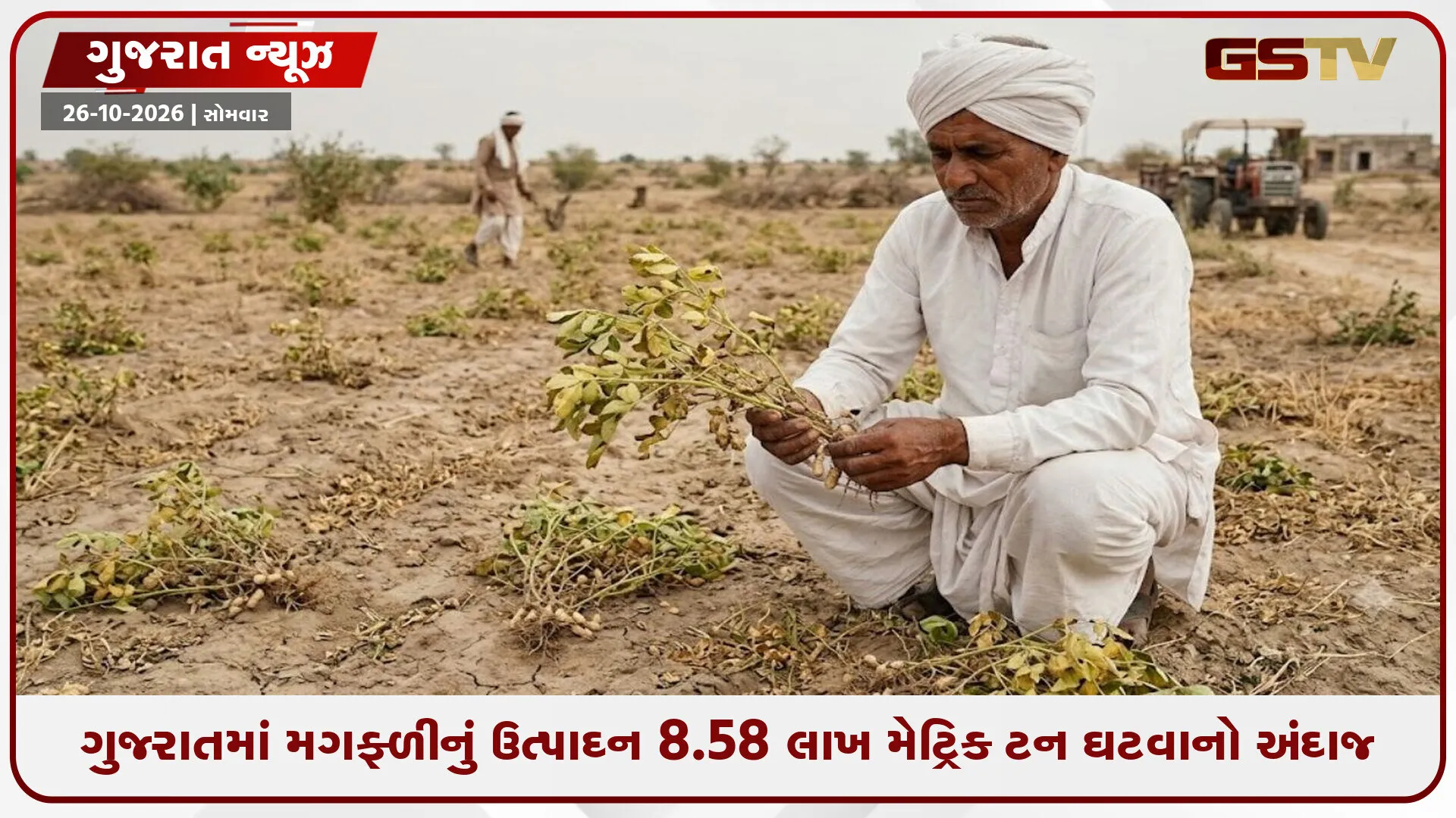 Gujaratમાં મગફળી ઉત્પાદનમાં 20%નો તોતિંગ ઘટાડો: SEAના ગ્રાઉન્ડ સર્વેમાં ખુલી સરકારી દાવાઓની પોલ