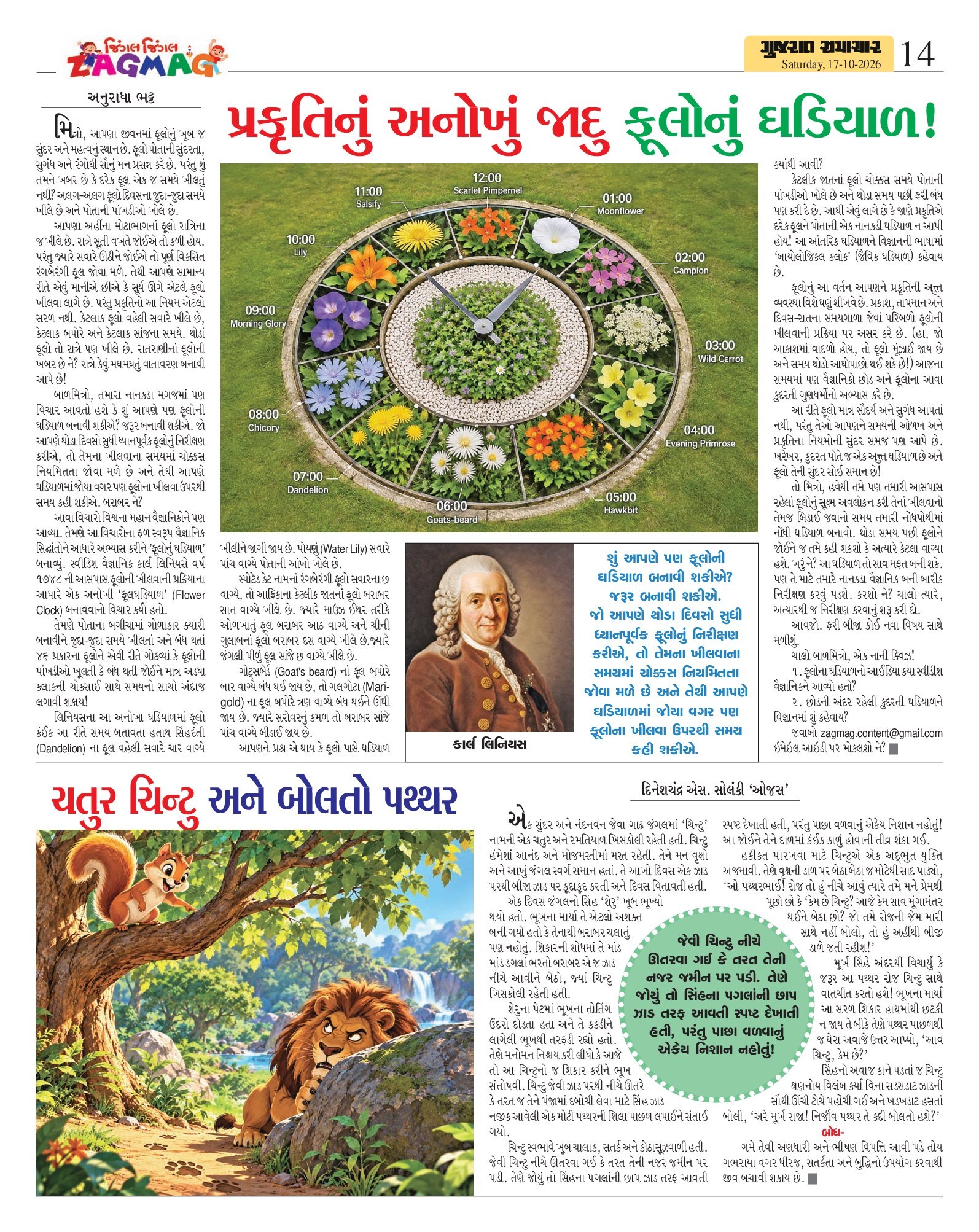Zagmag મેગેઝિન – 17 ઑક્ટોબર 2026 – પાનું 13
