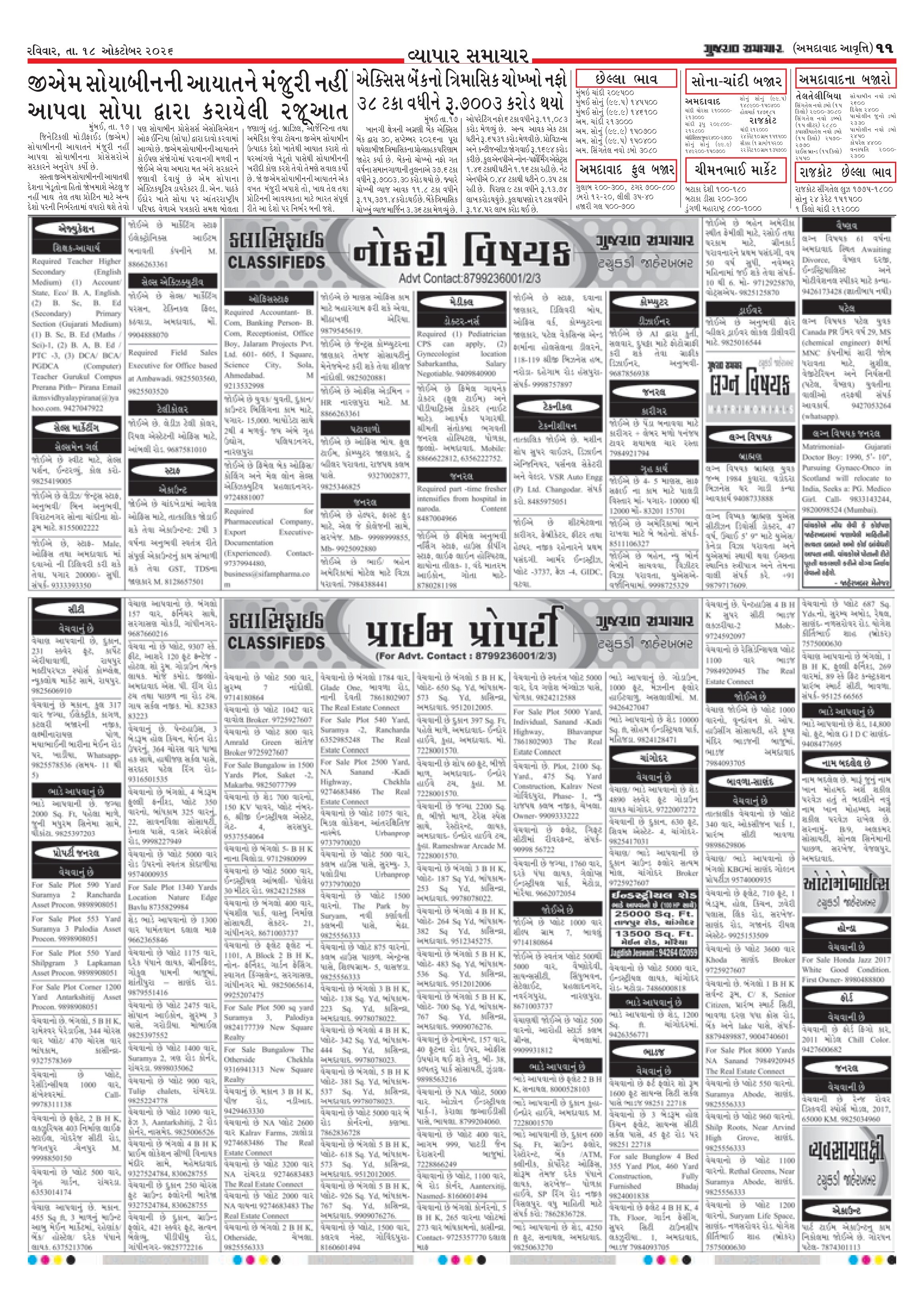 E-PAPER ઈ-પેપર – 18 ઑક્ટોબર 2026 – પાનું 13