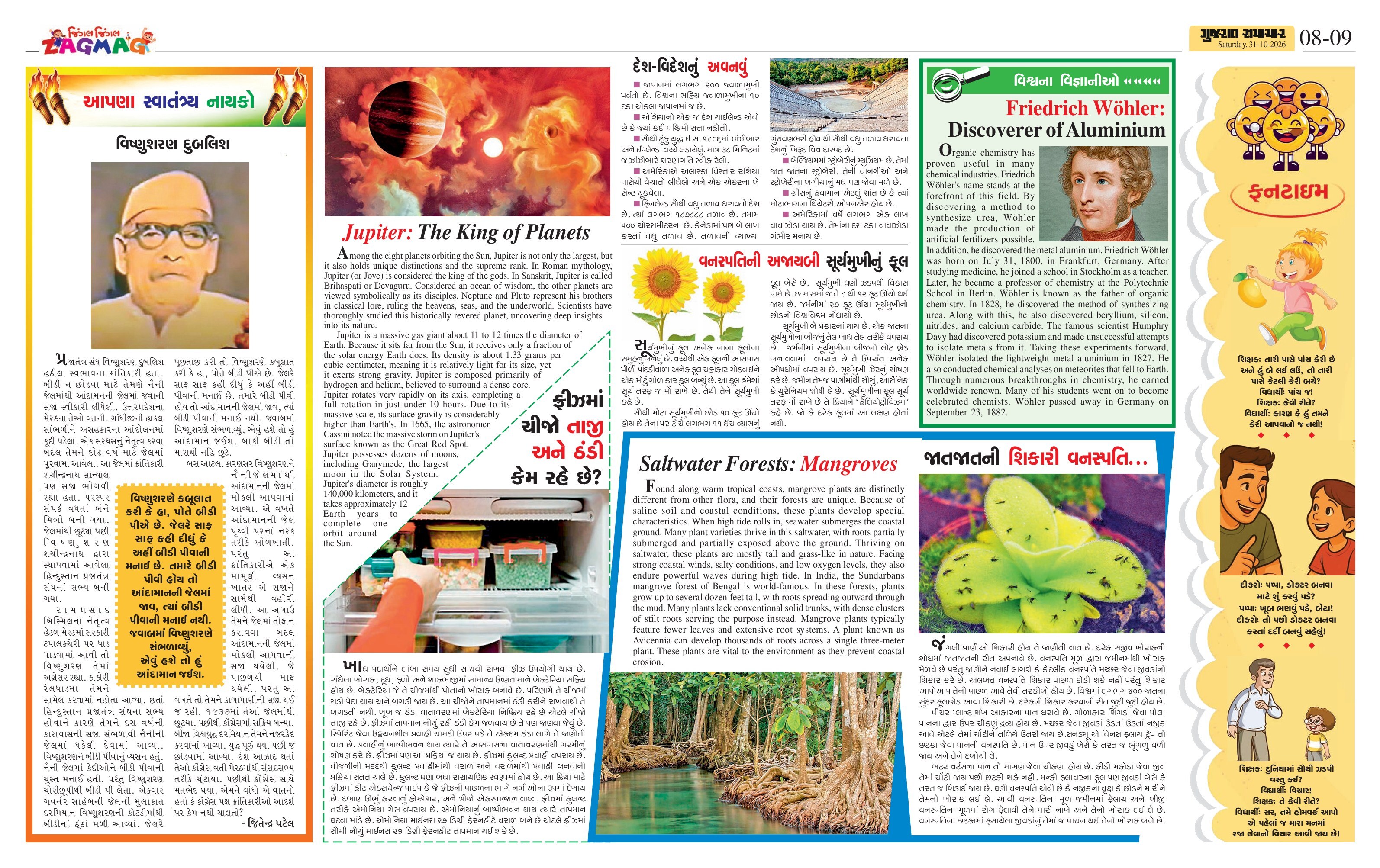 Zagmag મેગેઝિન – 31 ઑક્ટોબર 2026 – પાનું 8